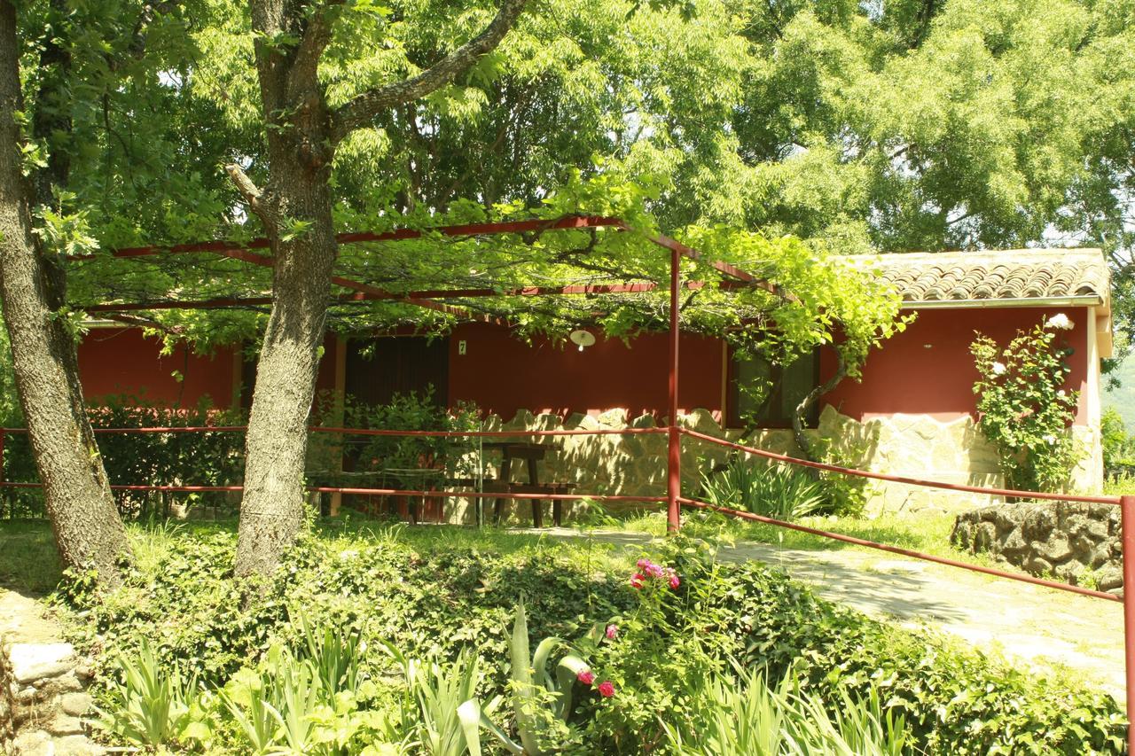 Camping El Pinajarro Hervás Exteriér fotografie