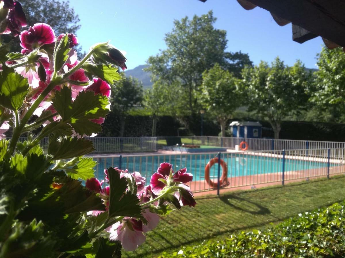 Camping El Pinajarro Hervás Exteriér fotografie